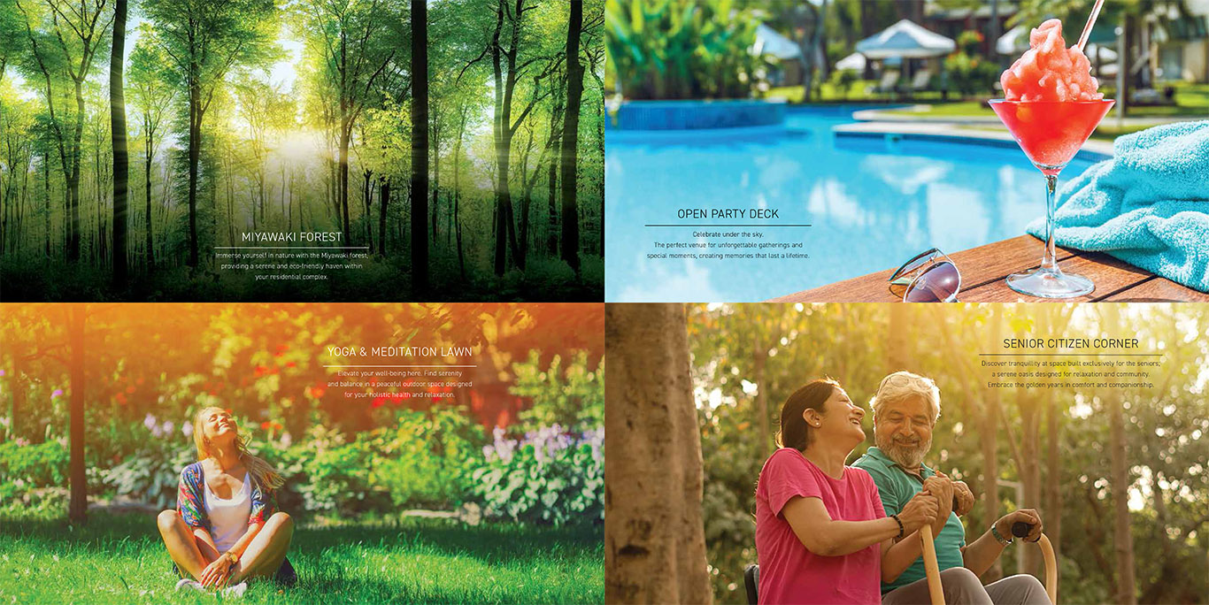 Deluxe DXP Gallery 1